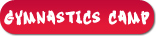 Gymnastics Summer Camp | The Connection Gymnastics Summer Camp | The Connection