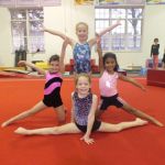 Gym Camps