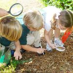 Nature Camp