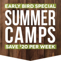 Early Bird Special Early Bird Special