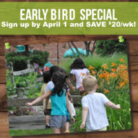 Early Bird Special Early Bird Special