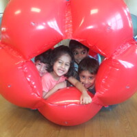 Early Bird Special Early Bird Special